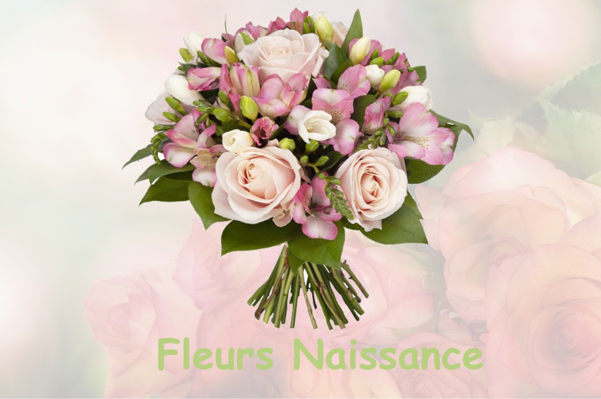 fleurs naissance MISSON