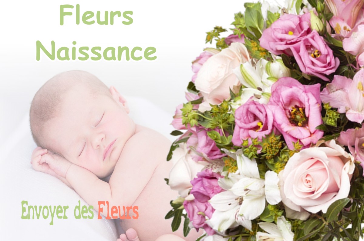 lIVRAISON FLEURS NAISSANCE à MISSON